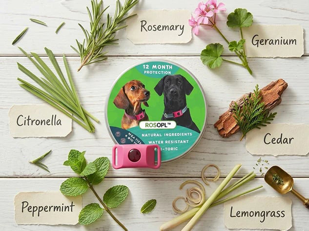 ⏰Last Day 60% OFF-🐕12 Months Flea and Tick Free