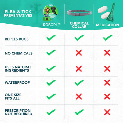 ⏰Last Day 60% OFF-🐕12 Months Flea and Tick Free