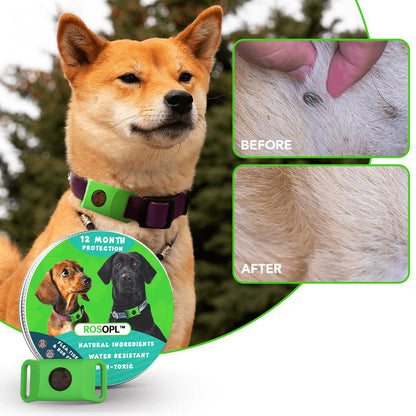 ⏰Last Day 60% OFF-🐕12 Months Flea and Tick Free