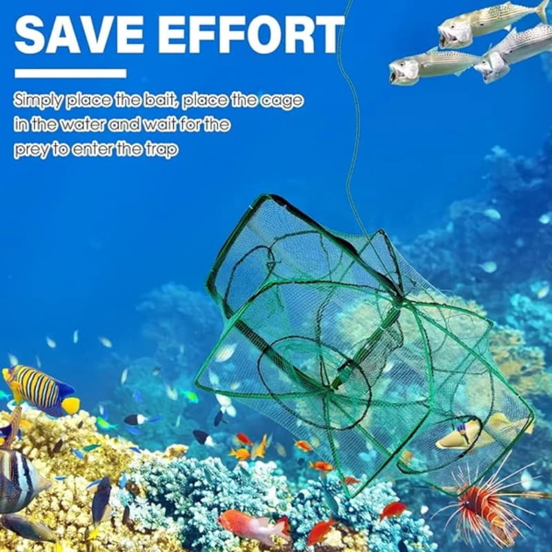 Catch More Fish Effortlessly – Auto-Foldable Multi-Hole Fishing Trap Net