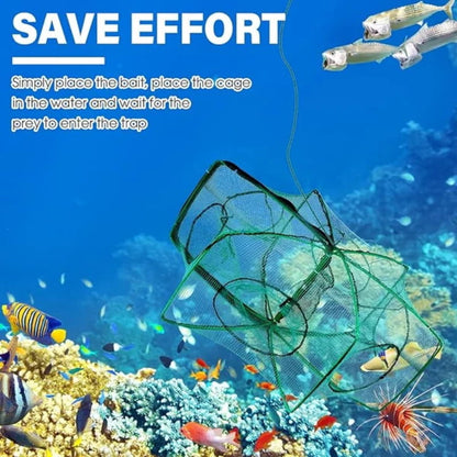 Catch More Fish Effortlessly – Auto-Foldable Multi-Hole Fishing Trap Net