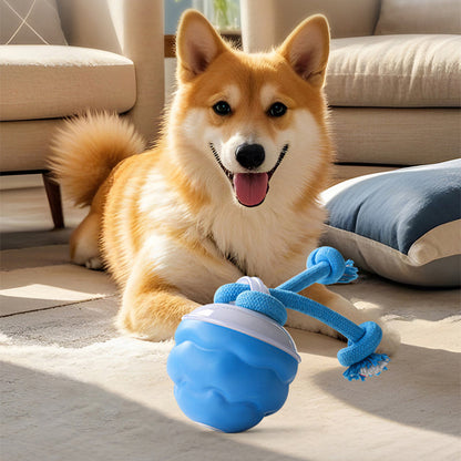 🎁 50% OFF NOW! 🐾 Interactive Pet Ball with Sound Activation & Auto Obstacle Avoidance – 3 Modes, Teeth Grinding Design, USB Rechargeable – Quiet Mode Available – for Dogs & Cats