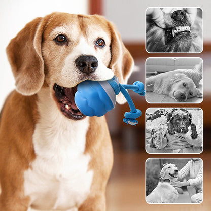 🎁 50% OFF NOW! 🐾 Interactive Pet Ball with Sound Activation & Auto Obstacle Avoidance – 3 Modes, Teeth Grinding Design, USB Rechargeable – Quiet Mode Available – for Dogs & Cats