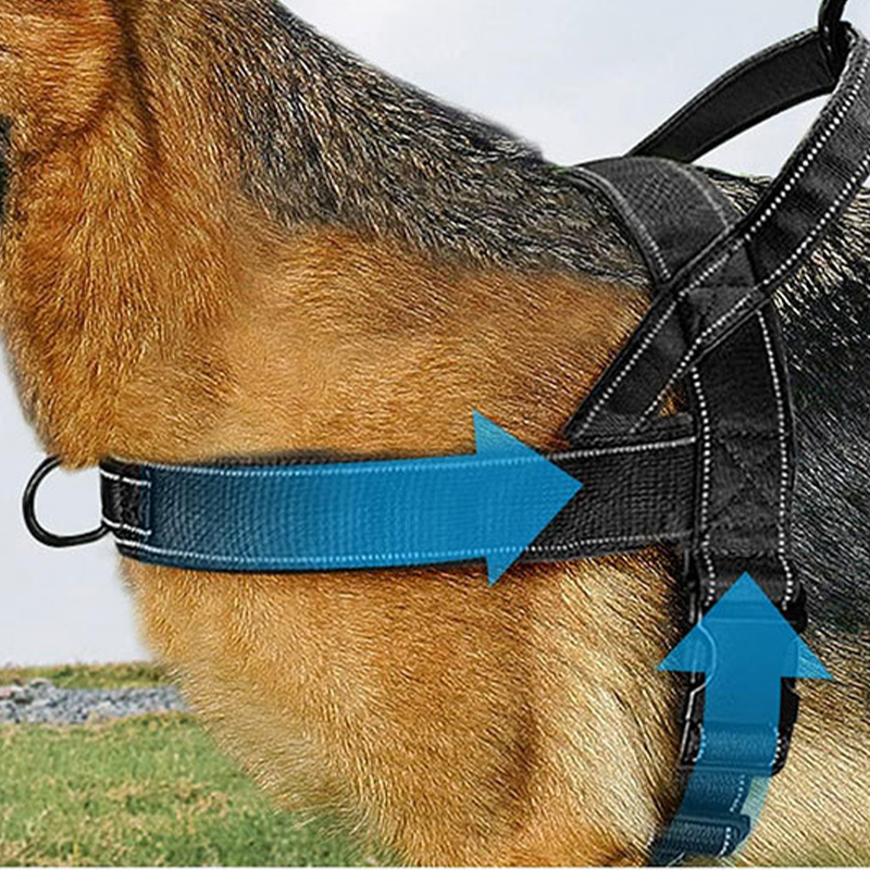 🥳2026 HOT SALE🥳🐕💪 50% OFF! Heavy‑Duty Tactical Dog Harness – No‑pull, no‑choke. 🛡️✨